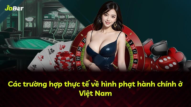 Các trường hợp thực tế về hình phạt hành chính ở Việt Nam