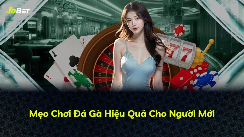 Mẹo Chơi Đá Gà Hiệu Quả Cho Người Mới